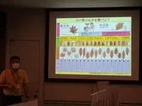 写真：植物化石の種類