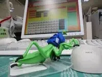 写真：PCを操作しているようなカマキリのぬいぐるみ