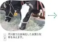 写真：河川敷で自家栽培した良質な牧草を与えます。