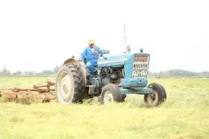 写真：作業の様子2