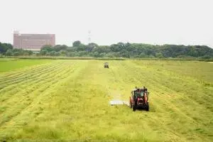 写真：作業の様子1