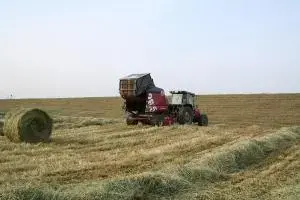 写真：作業の様子3