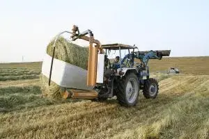 写真：作業の様子4