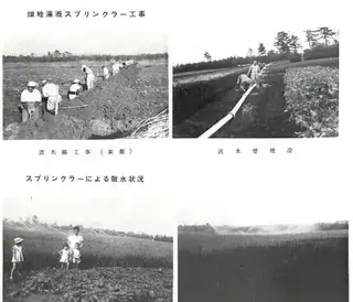 写真：大井沢地区のかんがい