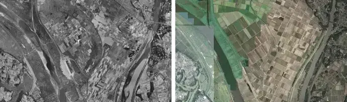 写真：木野崎地区柳耕地の比較