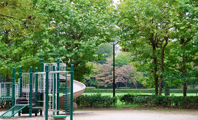 写真：大山公園