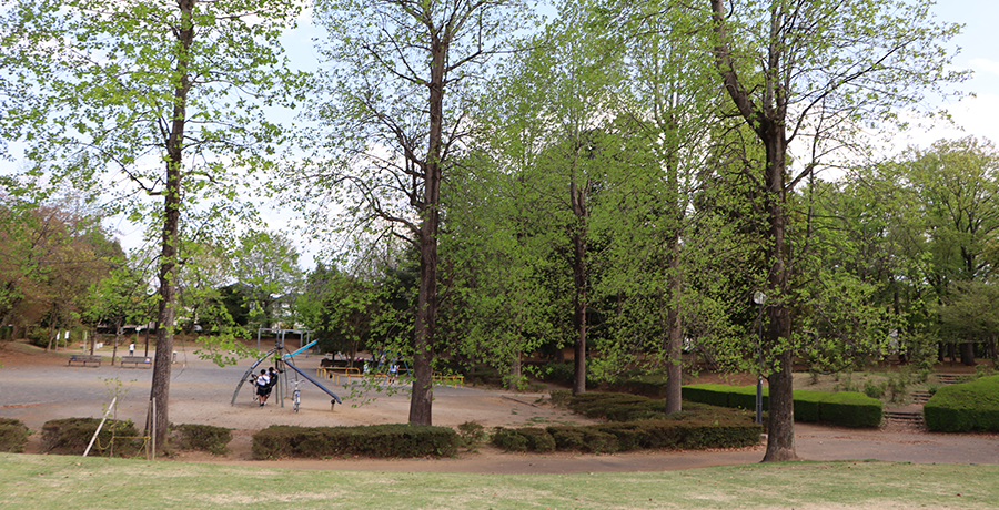 写真：松ケ丘公園