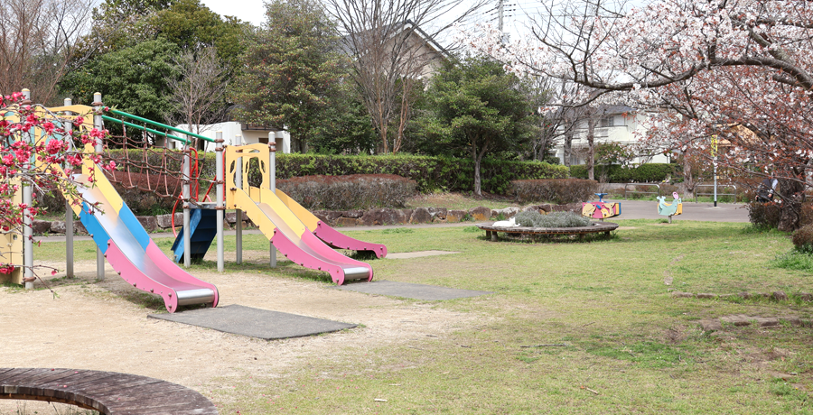 さくらの杜公園の写真