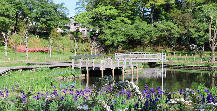 四季の里公園の写真
