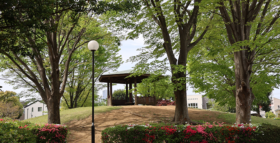 写真：土塔森林公園