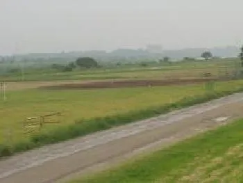 写真：大利根運動公園にある野球場の様子