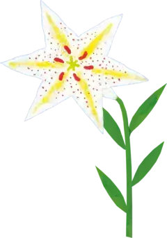 イラスト：山百合