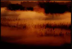 写真：褐色の利根川の作品