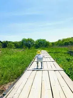写真：黄色い帽子をかぶった小さい子が晴れた野鳥のみちの木道でジャンプしている様子