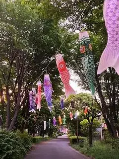 写真：まっすぐ伸びた幸福の路に鯉のぼりが連なって掲げられた様子