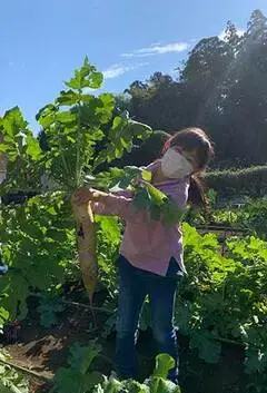 写真：青空の下、畑で抜いたばかりの大きい大根をもって誇らしげな子
