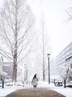 写真：白く雪化粧された並木や歩道の中で、傘を持って立つ子