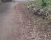 写真：道路への土砂の流出