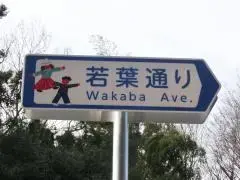 写真：若葉通りの看板