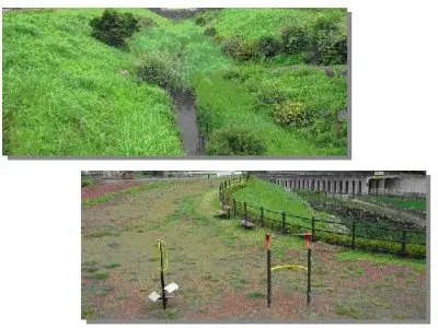 写真：基幹事業