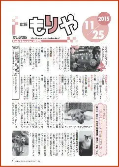 写真：11月25日号の表紙