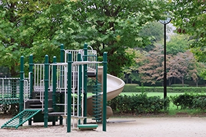 写真：大山公園