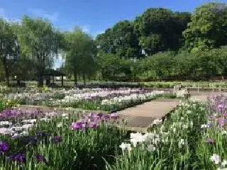 写真：四季の里公園