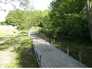 写真：守谷野鳥の森散策路