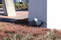 写真：4か所目制作前