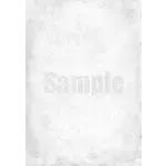 写真：背景A（モノクロ）