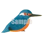 イラスト：カワセミ