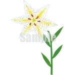 イラスト：山百合A