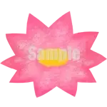 イラスト：ハスA