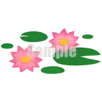 イラスト：ハスB