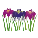 イラスト：アヤメ