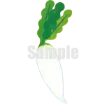 イラスト：大根