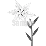 イラスト：山百合A