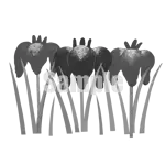 イラスト：アヤメ