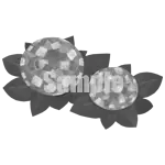 イラスト：アジサイ