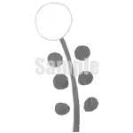 イラスト：白い花