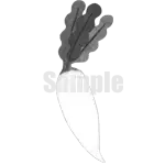 イラスト：大根