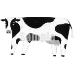 イラスト：牛