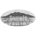 イラスト：田園風景