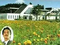 写真：ジャケット