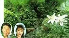 写真：ふるさと守谷音頭イメージ