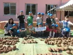 写真：収穫したさつま芋2