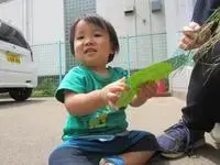 写真：短冊を握る子供