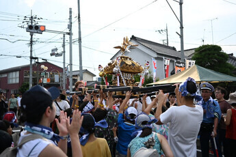 八坂神社祇園祭 子ども神輿の見守り（2）