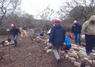 写真：協働作業の様子1