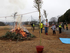 写真：どんど焼き